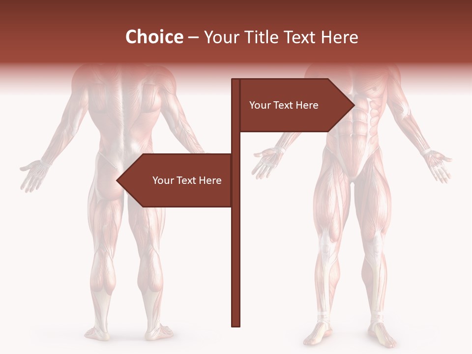 Muscle Angle System PowerPoint Template