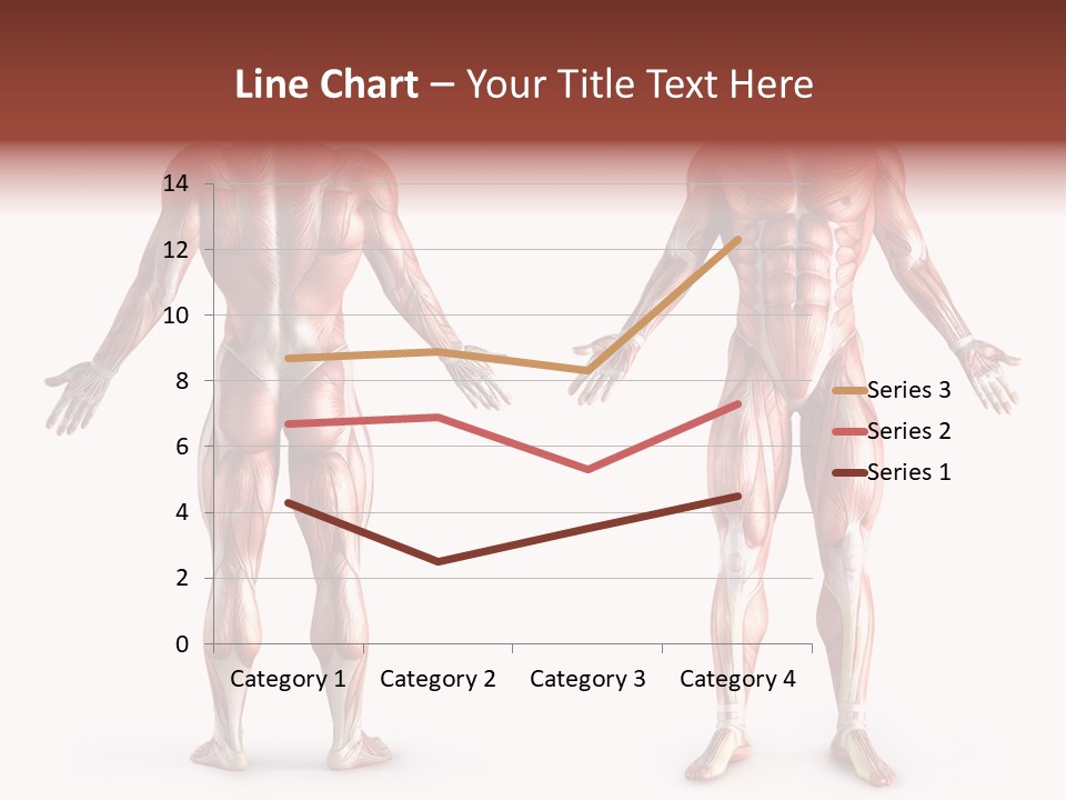Muscle Angle System PowerPoint Template