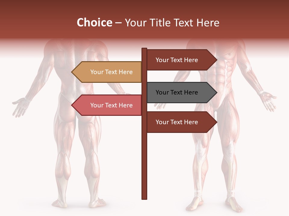 Muscle Angle System PowerPoint Template