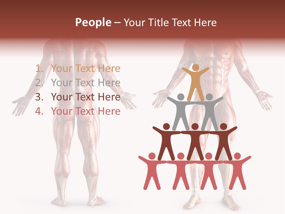 Muscle Angle System PowerPoint Template