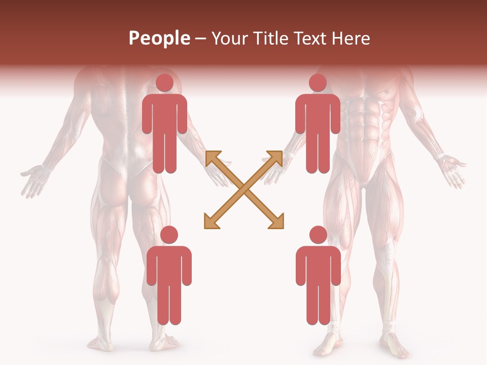 Muscle Angle System PowerPoint Template