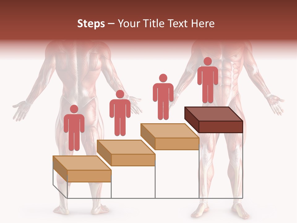 Muscle Angle System PowerPoint Template