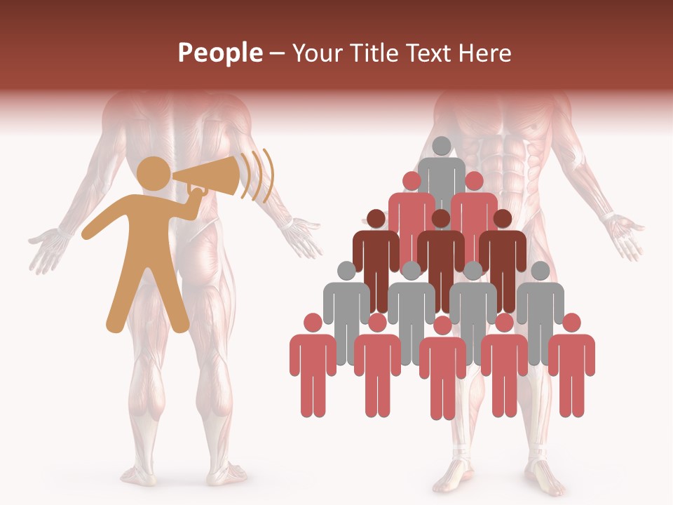 Muscle Angle System PowerPoint Template