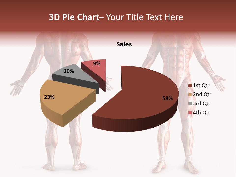 Muscle Angle System PowerPoint Template