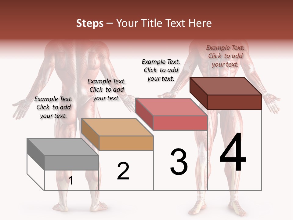 Muscle Angle System PowerPoint Template