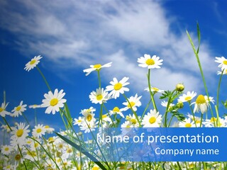 Plant Design Many PowerPoint Template