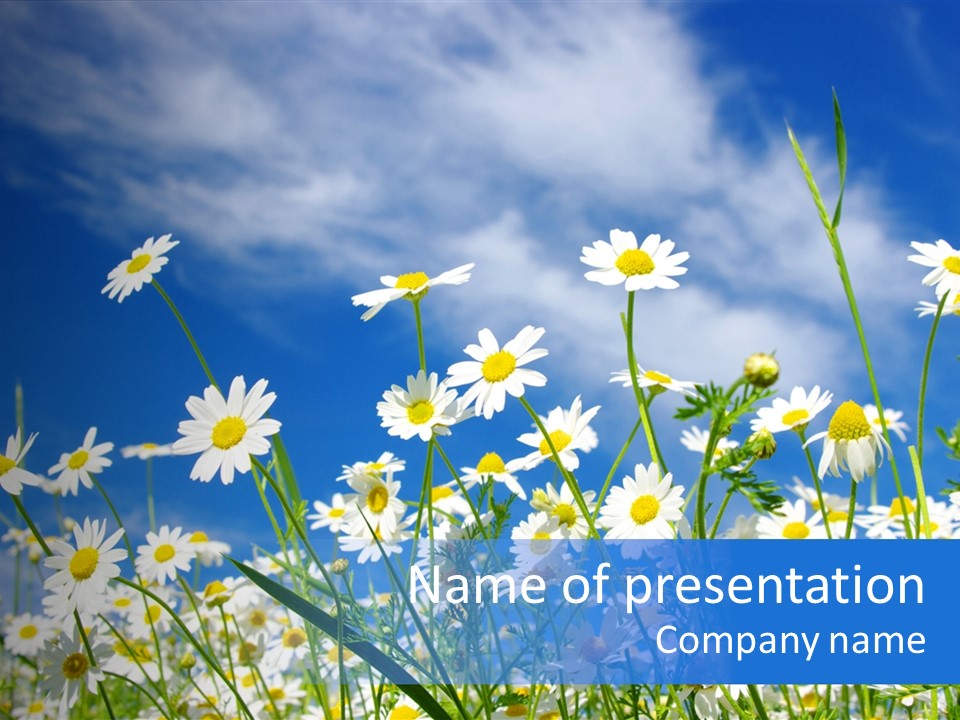 Plant Design Many PowerPoint Template