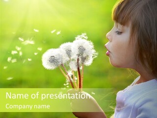 Flower Light Blowing PowerPoint Template