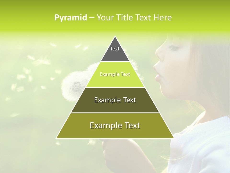 Flower Light Blowing PowerPoint Template