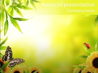 Harmony Frame Natural PowerPoint Template