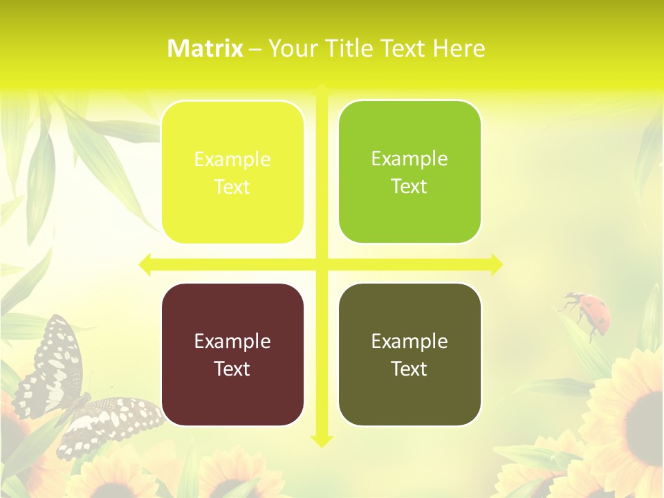 Harmony Frame Natural PowerPoint Template