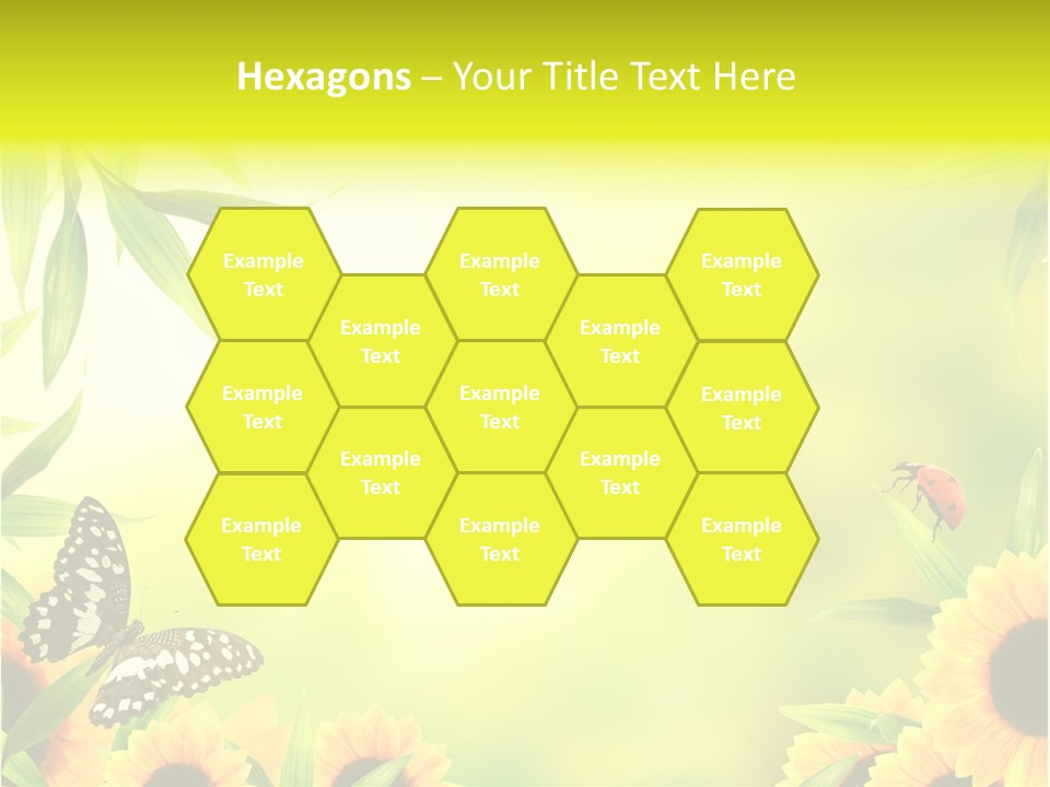 Harmony Frame Natural PowerPoint Template