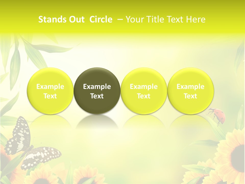 Harmony Frame Natural PowerPoint Template