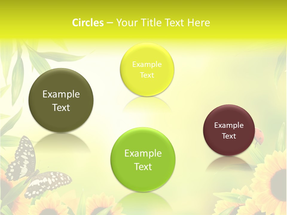 Harmony Frame Natural PowerPoint Template