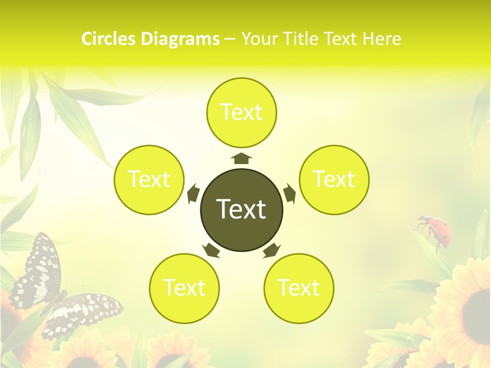 Harmony Frame Natural PowerPoint Template