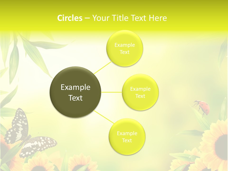 Harmony Frame Natural PowerPoint Template