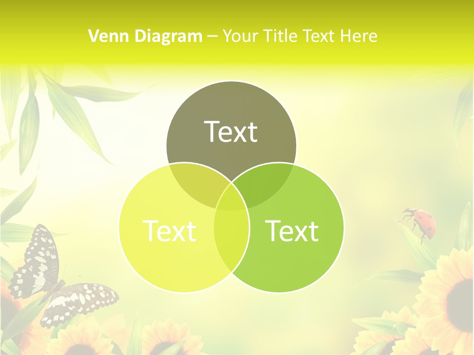 Harmony Frame Natural PowerPoint Template