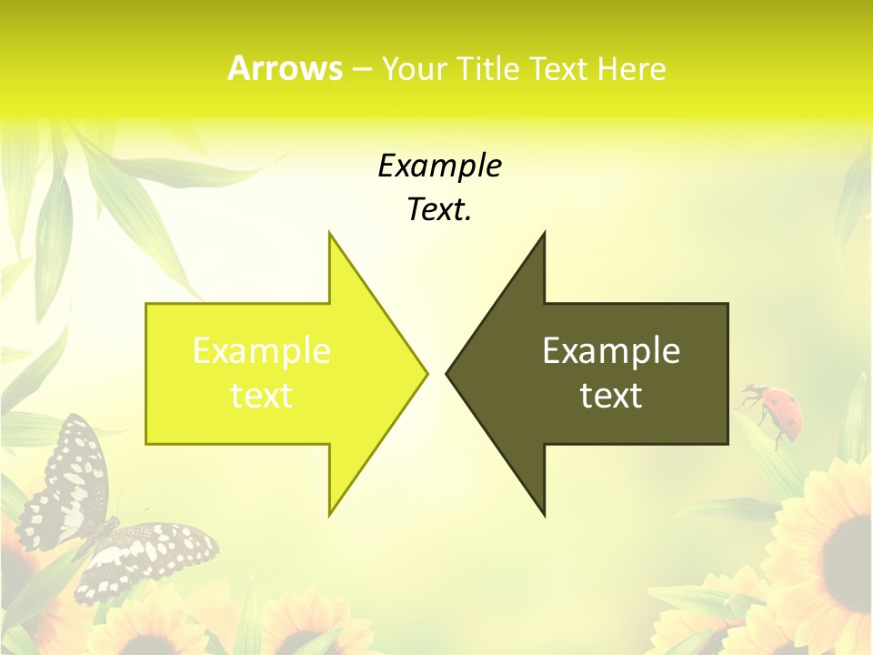 Harmony Frame Natural PowerPoint Template
