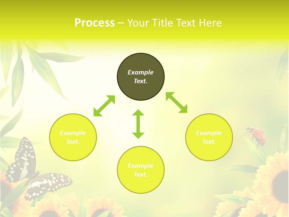 Harmony Frame Natural PowerPoint Template