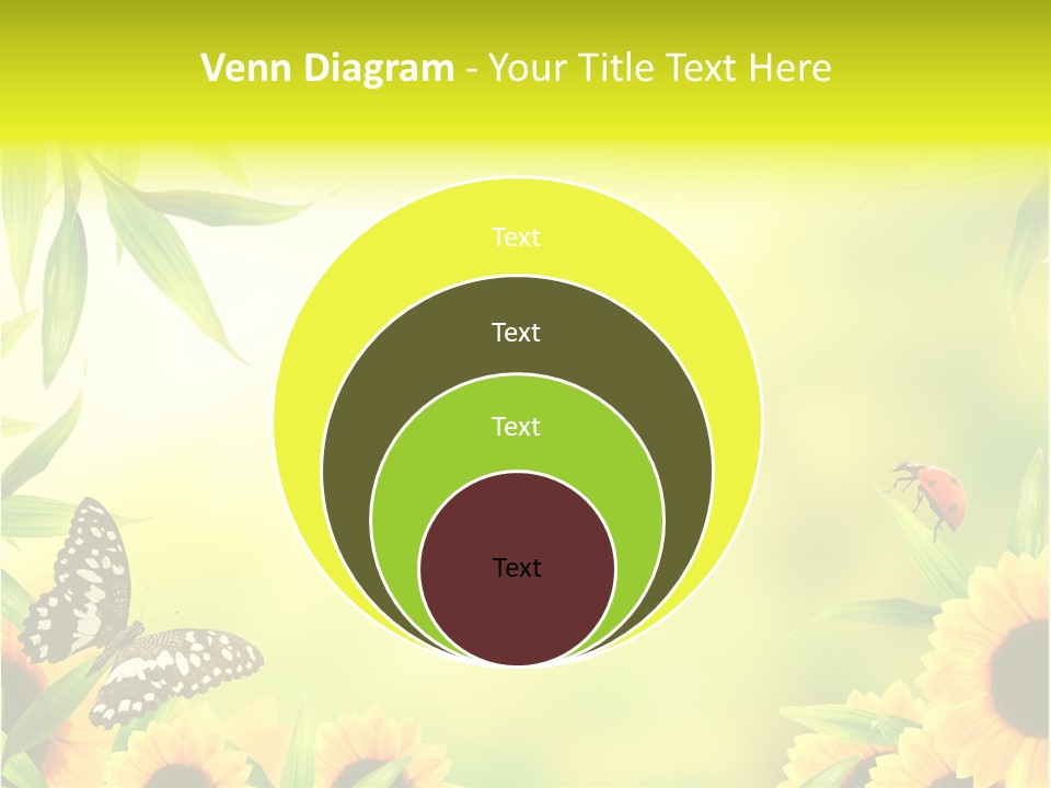 Harmony Frame Natural PowerPoint Template