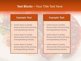 Pork Horizontal Object PowerPoint Template