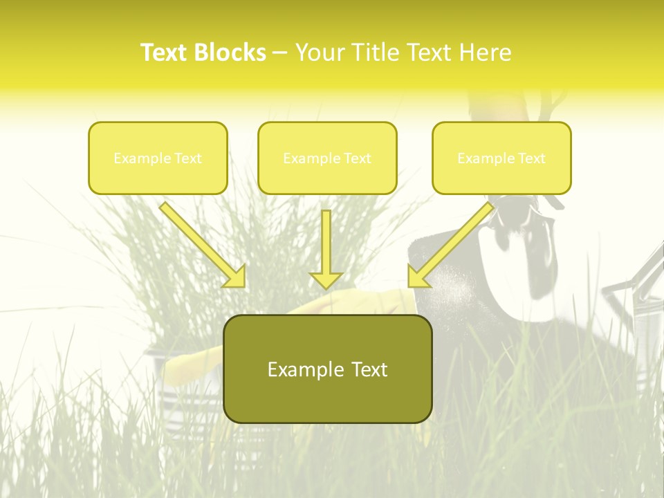 Farm Botany Gardening PowerPoint Template