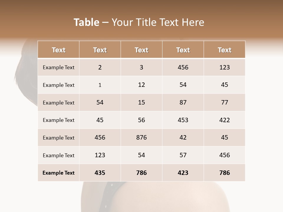 Brown Fashion Style PowerPoint Template