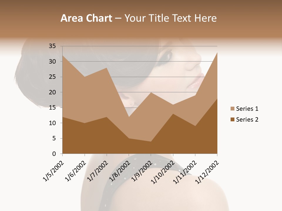 Brown Fashion Style PowerPoint Template