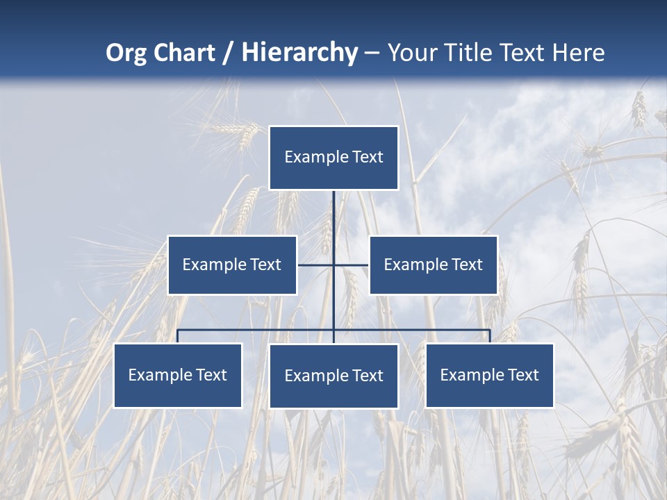 Deep Cloud Healthy PowerPoint Template