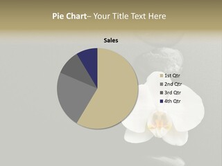 Stack Herb Stem PowerPoint Template