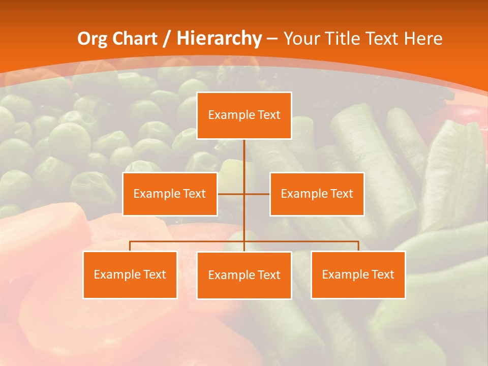Portion Bean Colorful PowerPoint Template