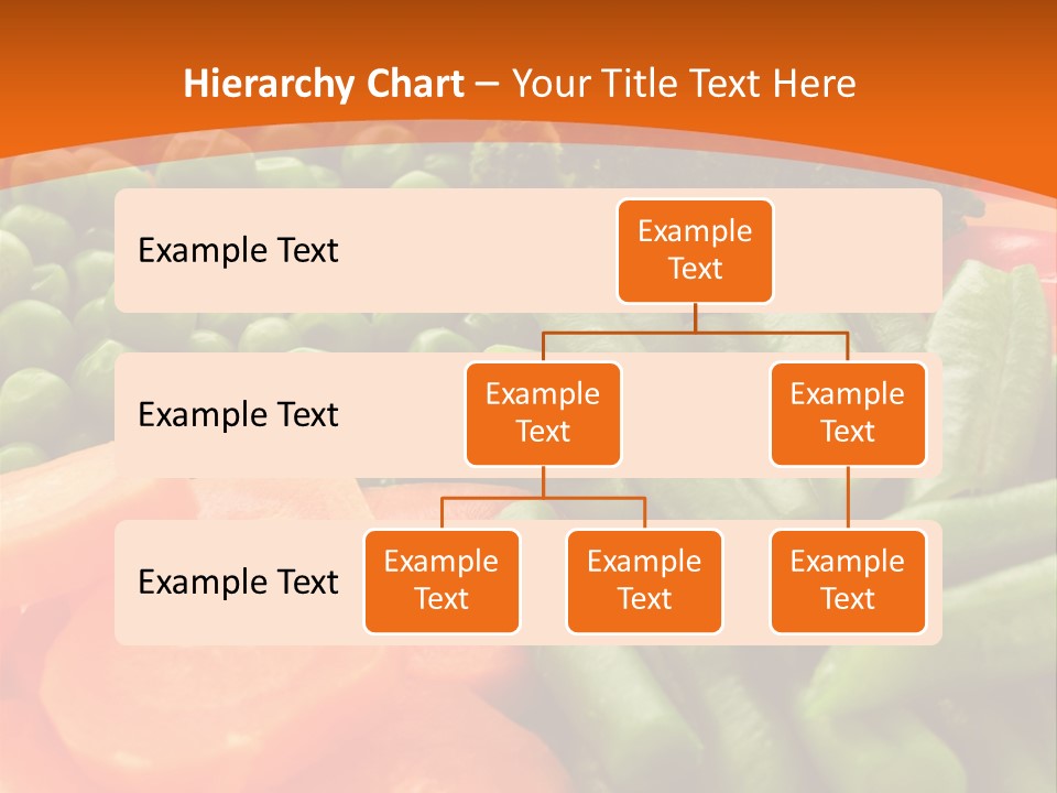 Portion Bean Colorful PowerPoint Template