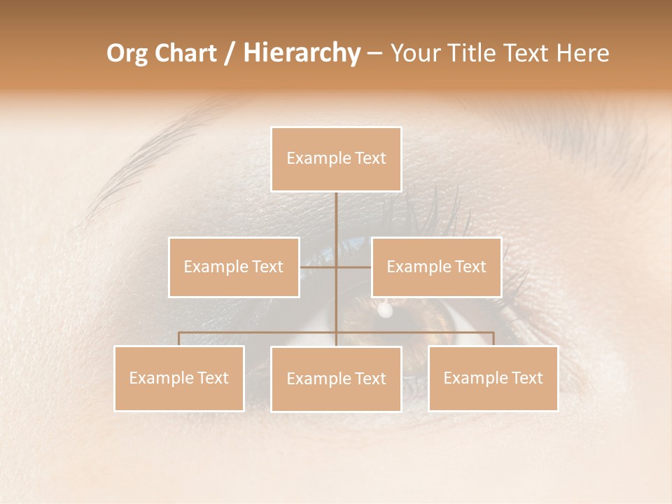 Make Up Close Up Iris PowerPoint Template