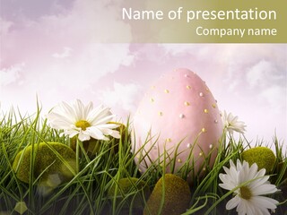 Colour Egg Spring PowerPoint Template