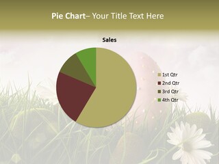 Colour Egg Spring PowerPoint Template