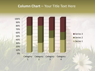 Colour Egg Spring PowerPoint Template