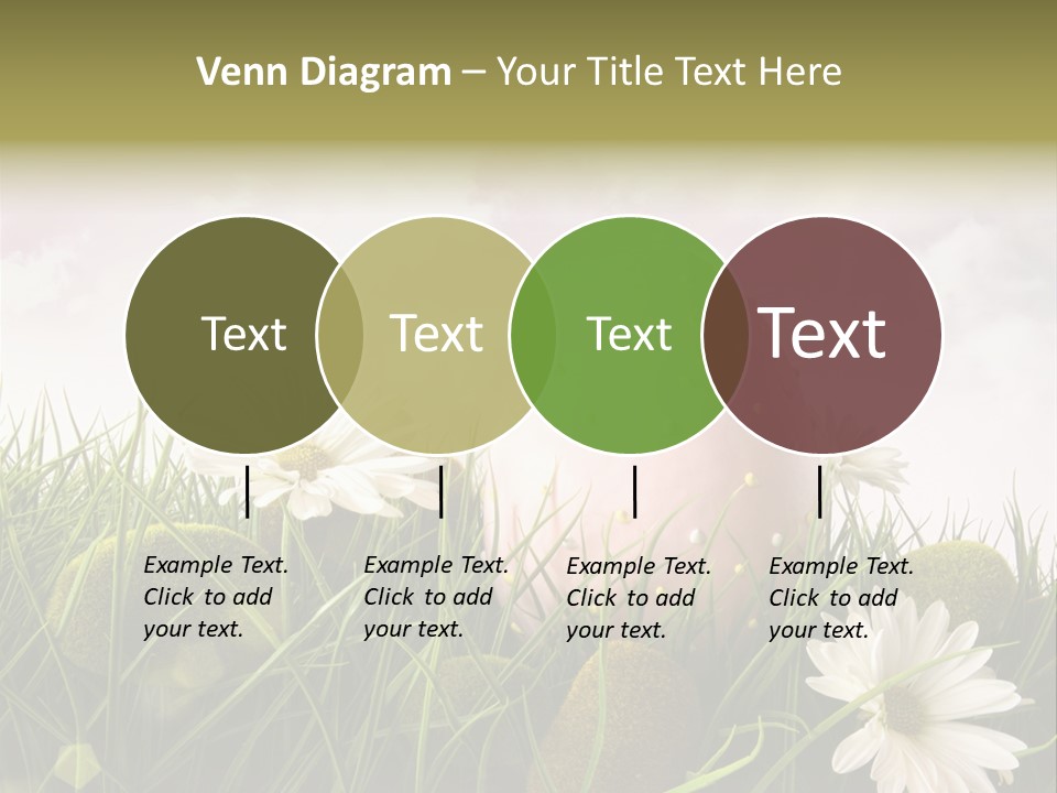 Colour Egg Spring PowerPoint Template