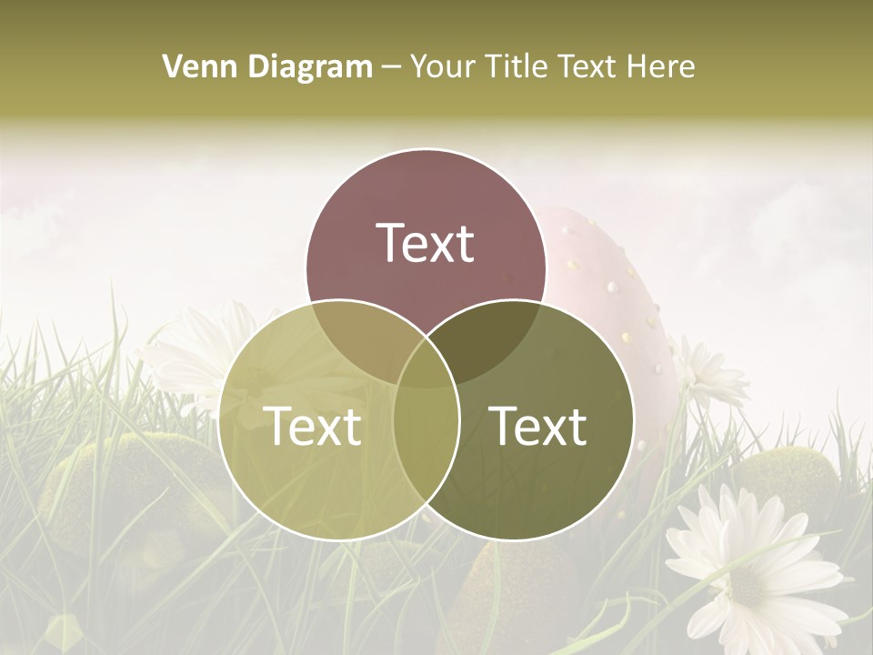 Colour Egg Spring PowerPoint Template