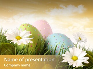 Scenic Space Decorating PowerPoint Template