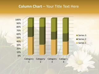 Scenic Space Decorating PowerPoint Template