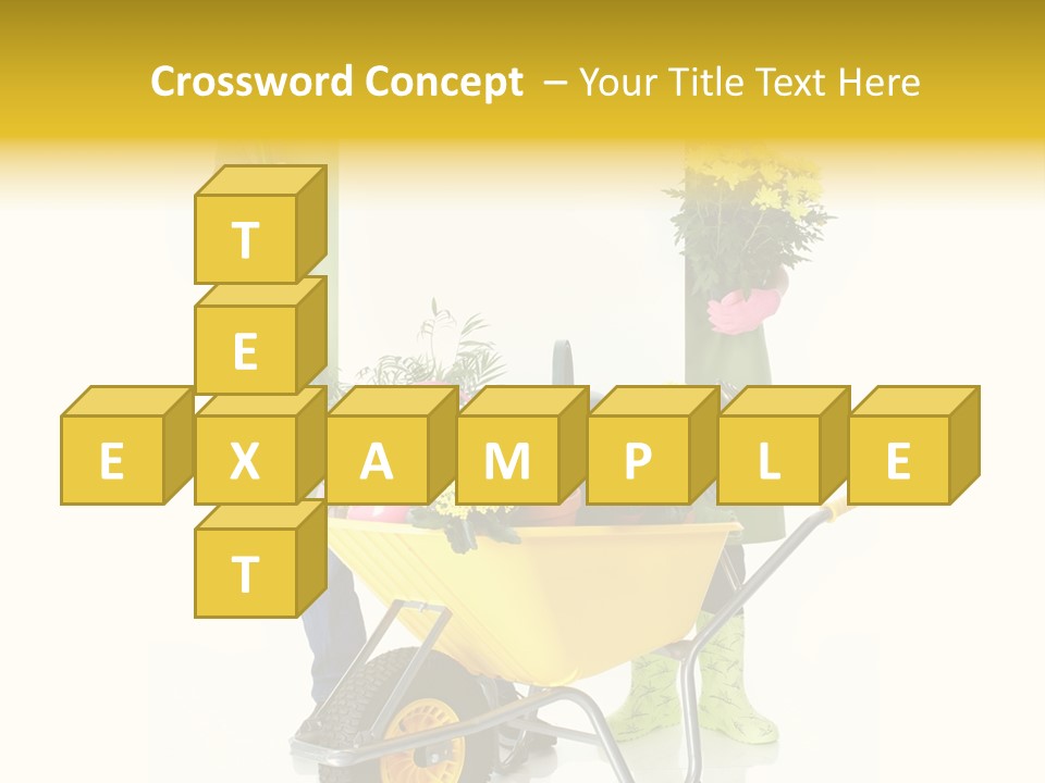 Business Girl People PowerPoint Template