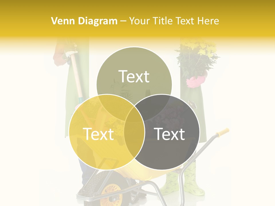 Business Girl People PowerPoint Template