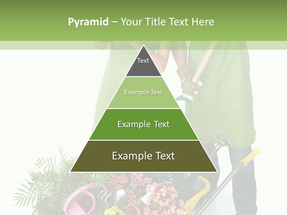 Isolated Nature Young PowerPoint Template