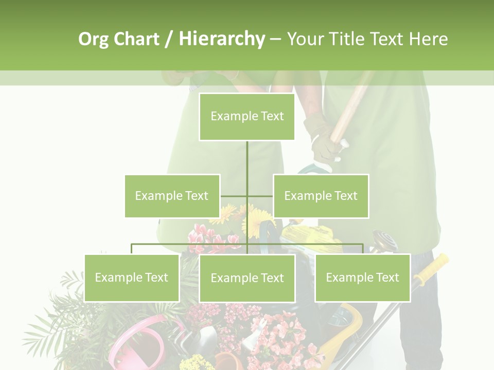 Isolated Nature Young PowerPoint Template