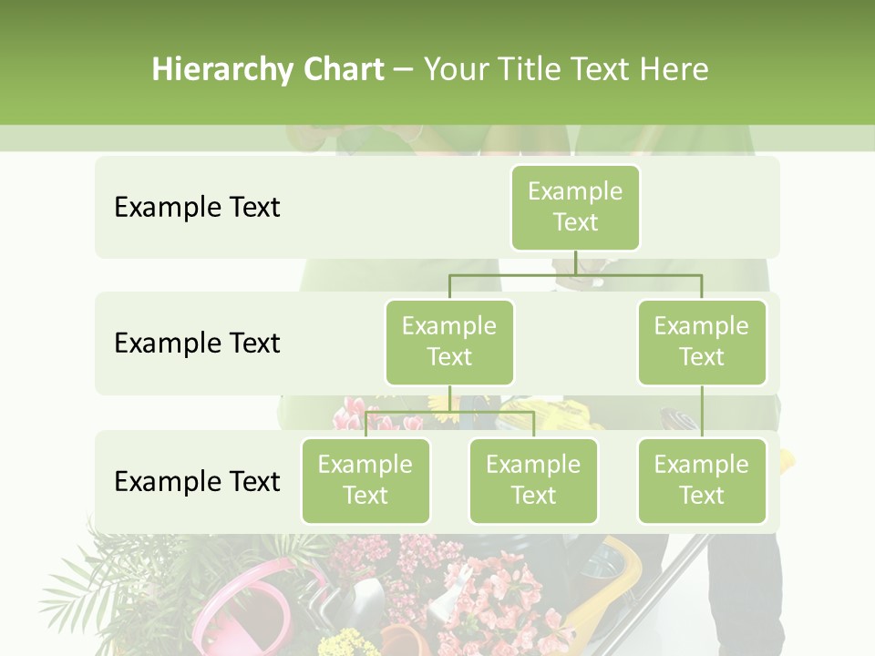 Isolated Nature Young PowerPoint Template