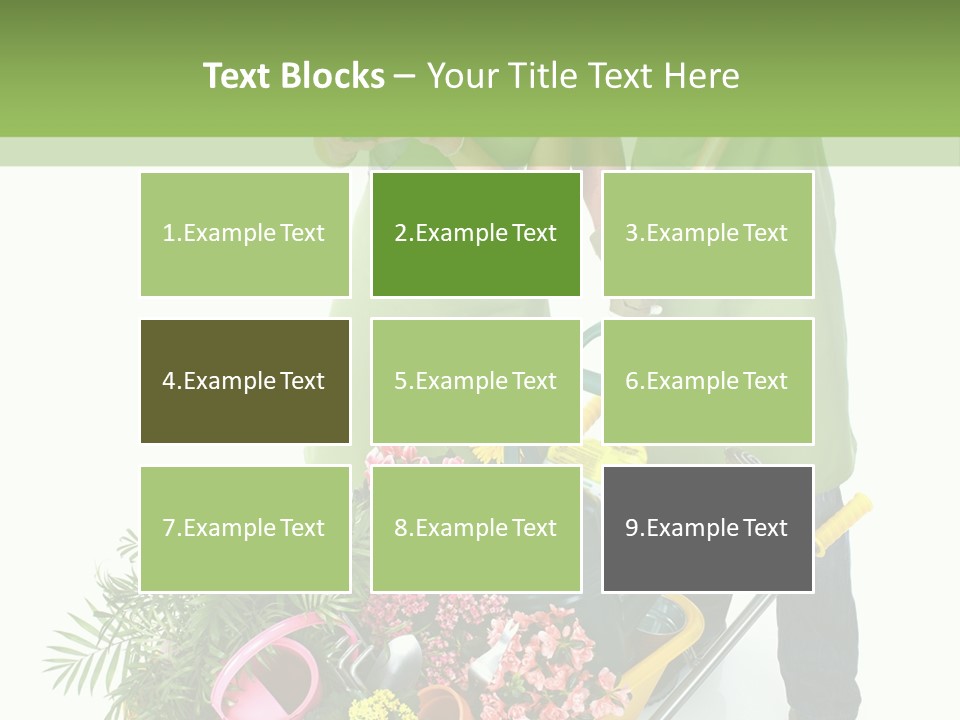 Isolated Nature Young PowerPoint Template