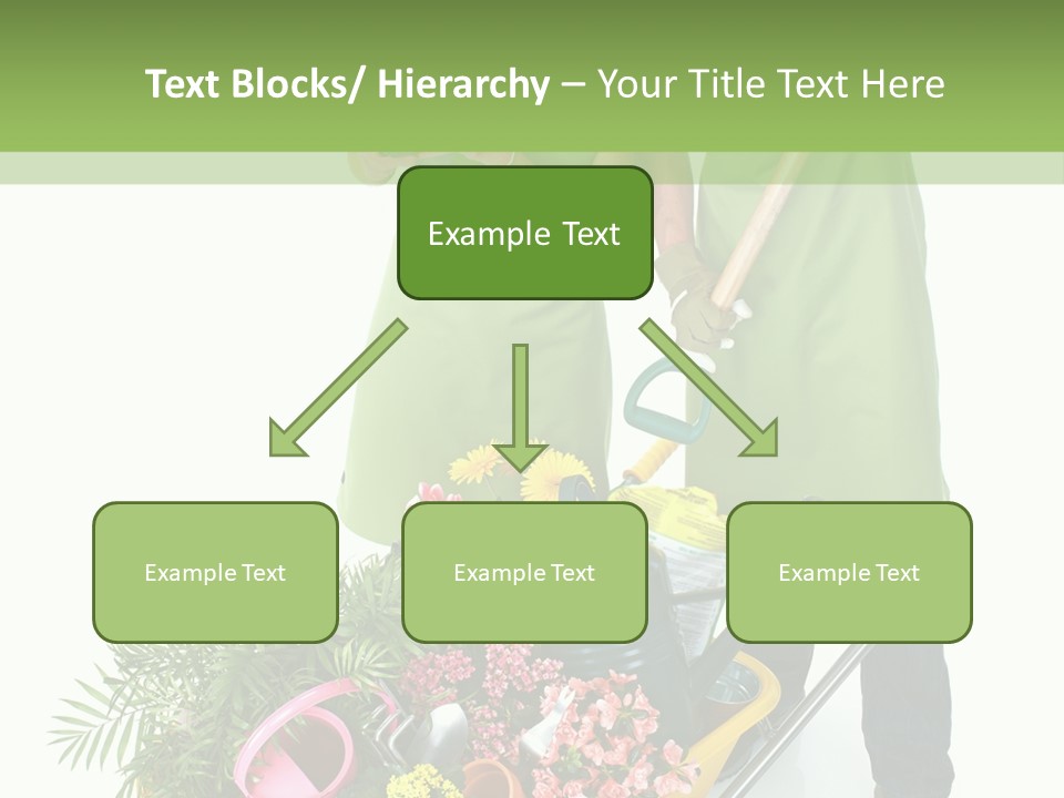 Isolated Nature Young PowerPoint Template