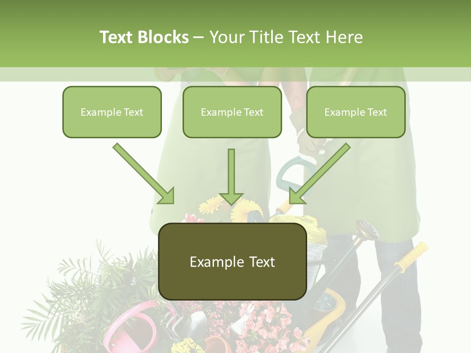Isolated Nature Young PowerPoint Template