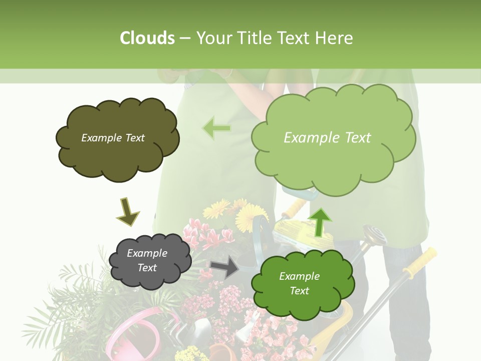 Isolated Nature Young PowerPoint Template