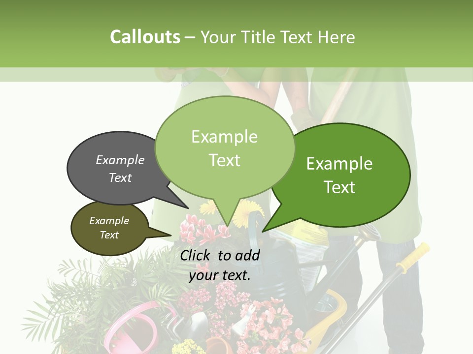 Isolated Nature Young PowerPoint Template